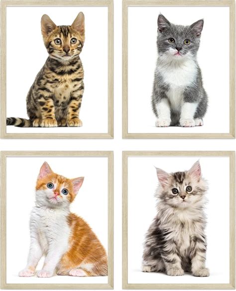 cute kitten posters.